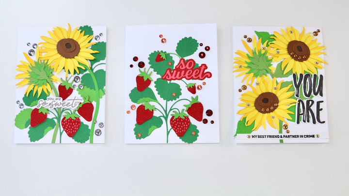 The featured photo shows all three cards side by side 