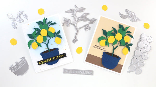 The photo shows the two cards featured in this blog post 