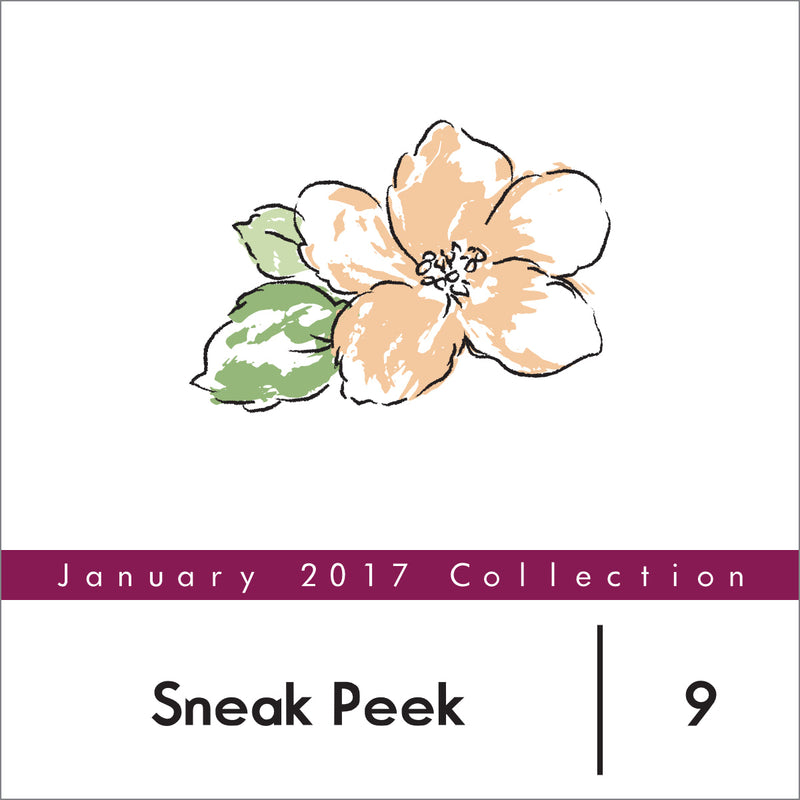 January 2017 Sneak Peek Day 2
