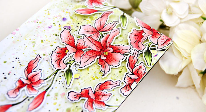 Video: Coloring with Artist Markers on Build-A-Flower: Cattleya