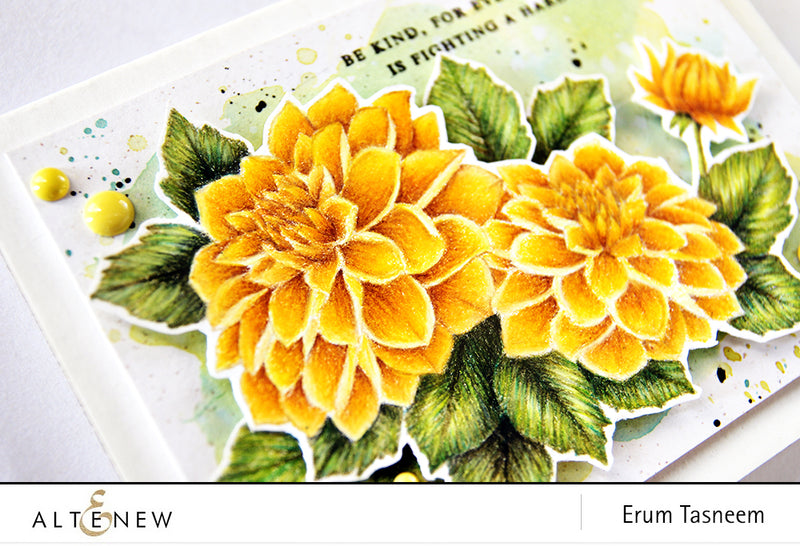 No Line Pencil Colouring Dahlia Blossoms