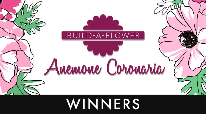Build-A-Flower: Anemone Coronaria Release Giveaway Winners