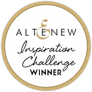 January 2018 Inspiration Challenge Winners