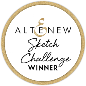 Sketch Challenge #13 Winners