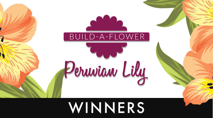 Build-A-Flower: Peruvian Lily Release Giveaway Winners