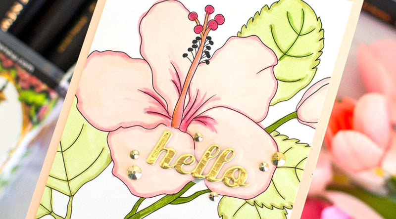 Find Out Why You’ll LOVE This New Alcohol Marker Set!
