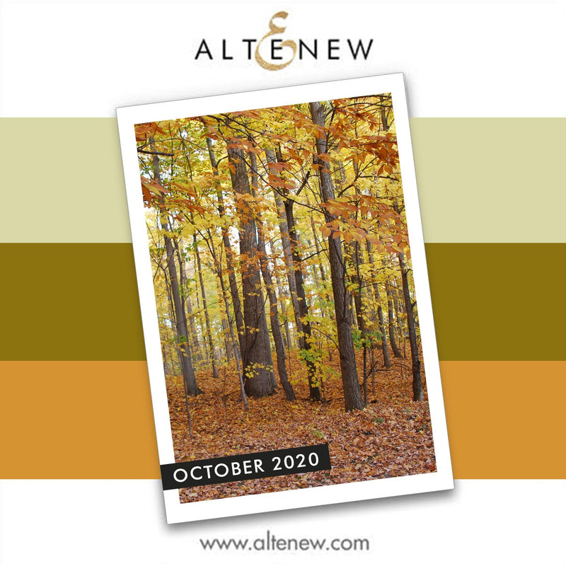 Get Inspired, Win Prizes, and Join the Fun October Inspiration Challenge!