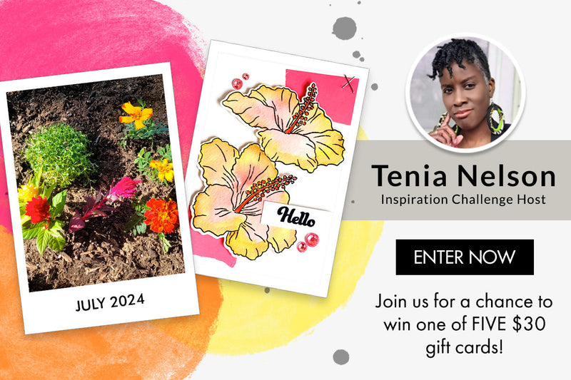 DIY Greeting Card with Tropical Vibes | July 2024 Inspiration Challenge with Tenia Nelson