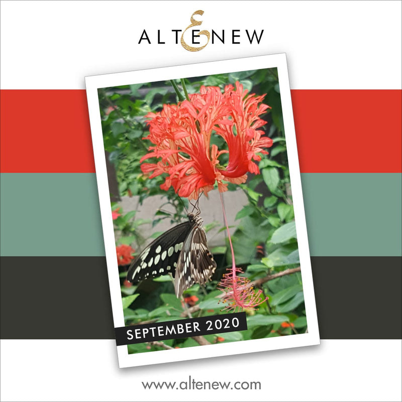 Get Inspired and Win Prizes! September 2020 Inspiration Challenge: Butterfly Garden