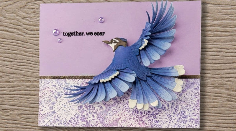 Fly High with Stamping & Die Cutting Stunning Birds That Steal the Show!
