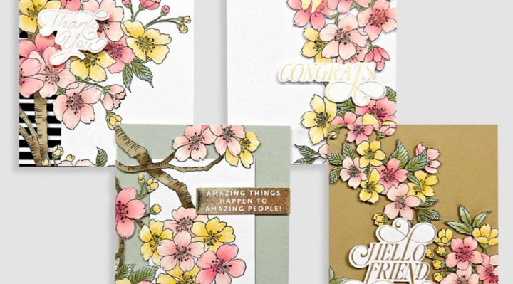 sakura blossoms