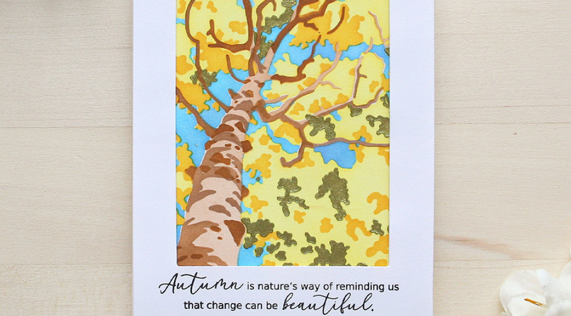 10 Quick Autumn Cards with 1 Stencil Set