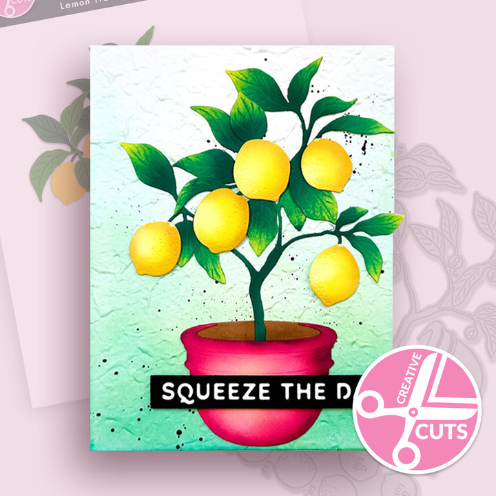 Creative Cuts Monthly Subscription Plan