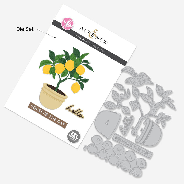 Creative Cuts Monthly Subscription Plan
