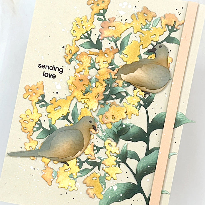 Creative Cuts Monthly Subscription Plan