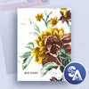 Stencil Art Bi-Monthly Subscription Plan