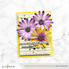 Lush Botanicals: African Daisy 3D Embossing Folder & Die Set - Altenew