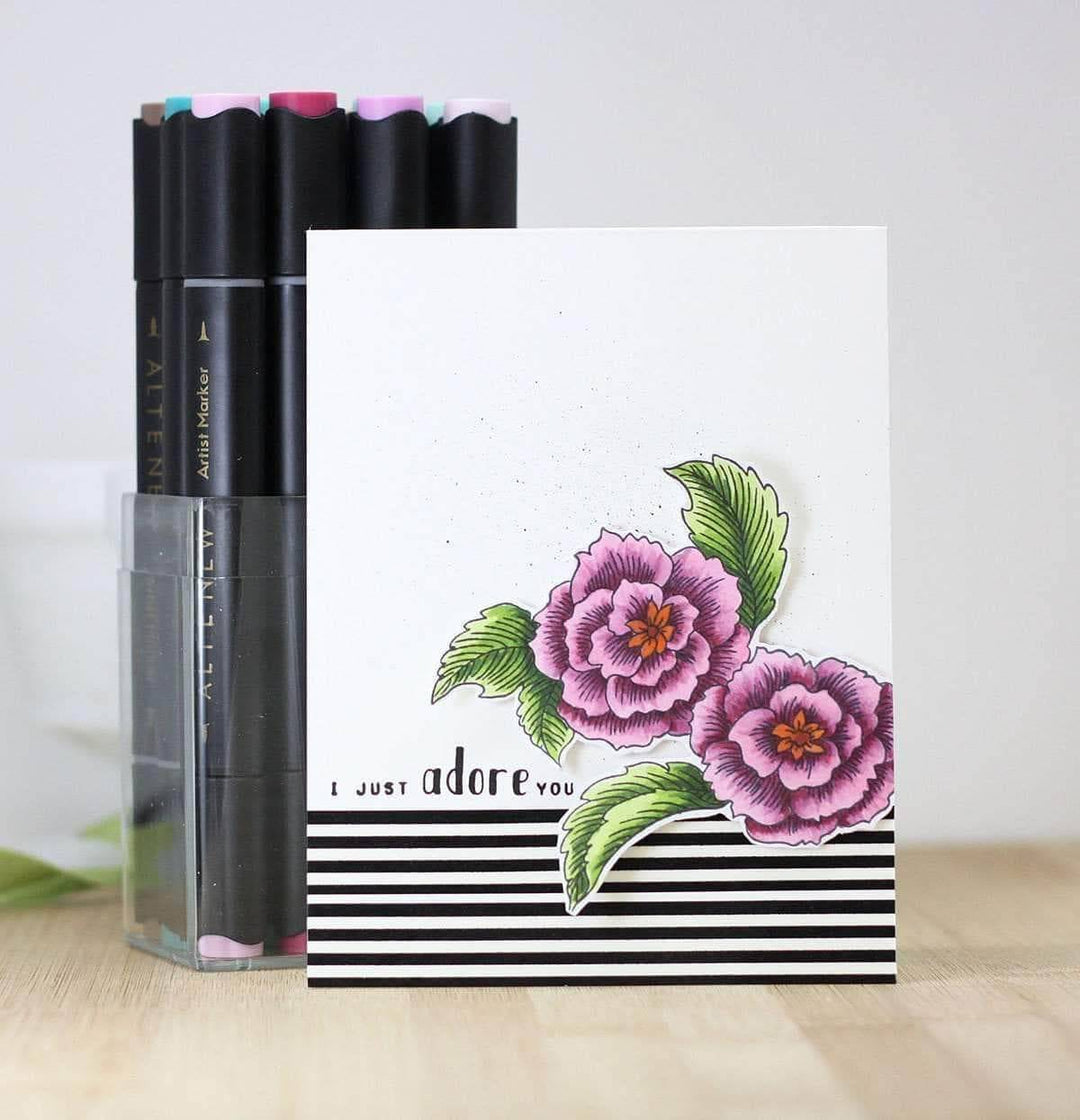 Altenew Alcohol Marker Bundle Artist Alcohol Markers Bundle (60 Colors)