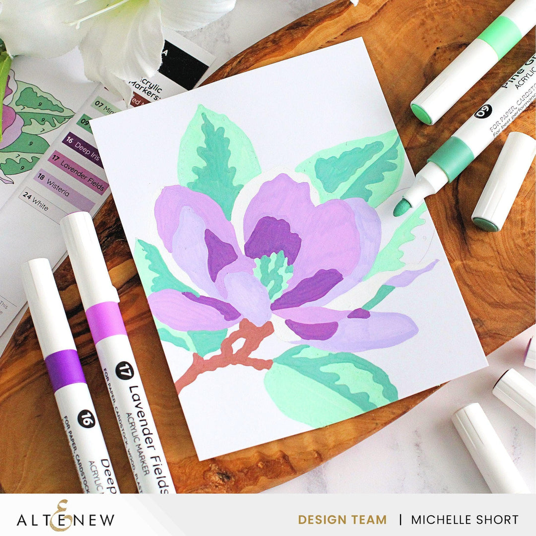 Acrylic Marker Set & Color-by-Number Sheets Bundle