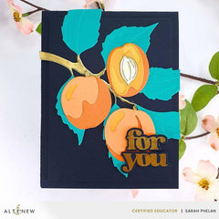 Versatile Greetings 3 Press Plates (Comfort Edition)