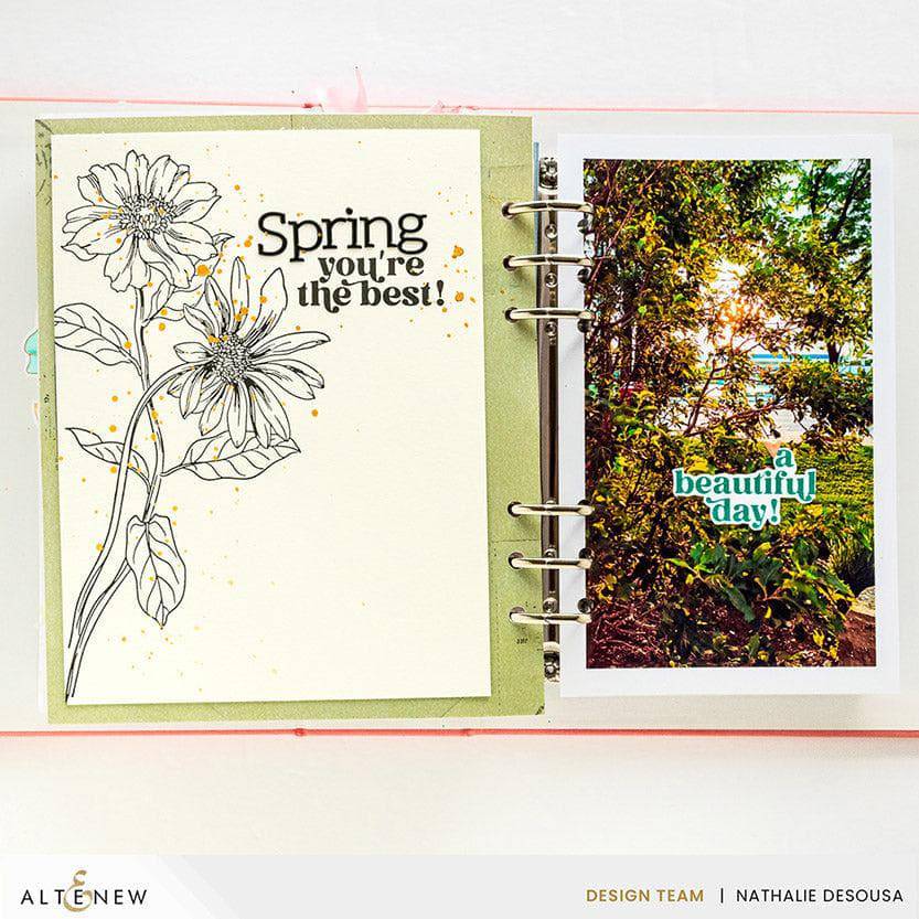 Spellbinders Betterpress Plates Wild Daisies Press Plate