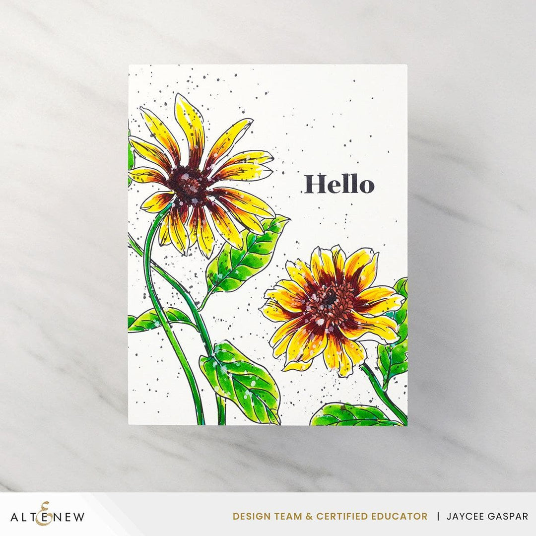 Spellbinders Betterpress Plates Wild Daisies Press Plate