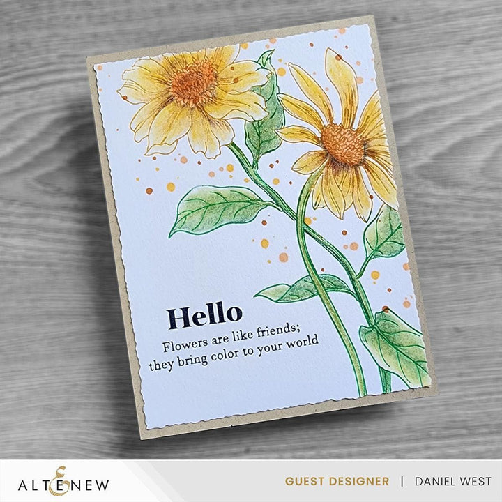 Spellbinders Betterpress Plates Wild Daisies Press Plate
