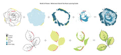 Altenew Build-A-Flower Set Build-A-Flower: Bellaroma Hybrid Tea Rose Layering Stamp & Die Set