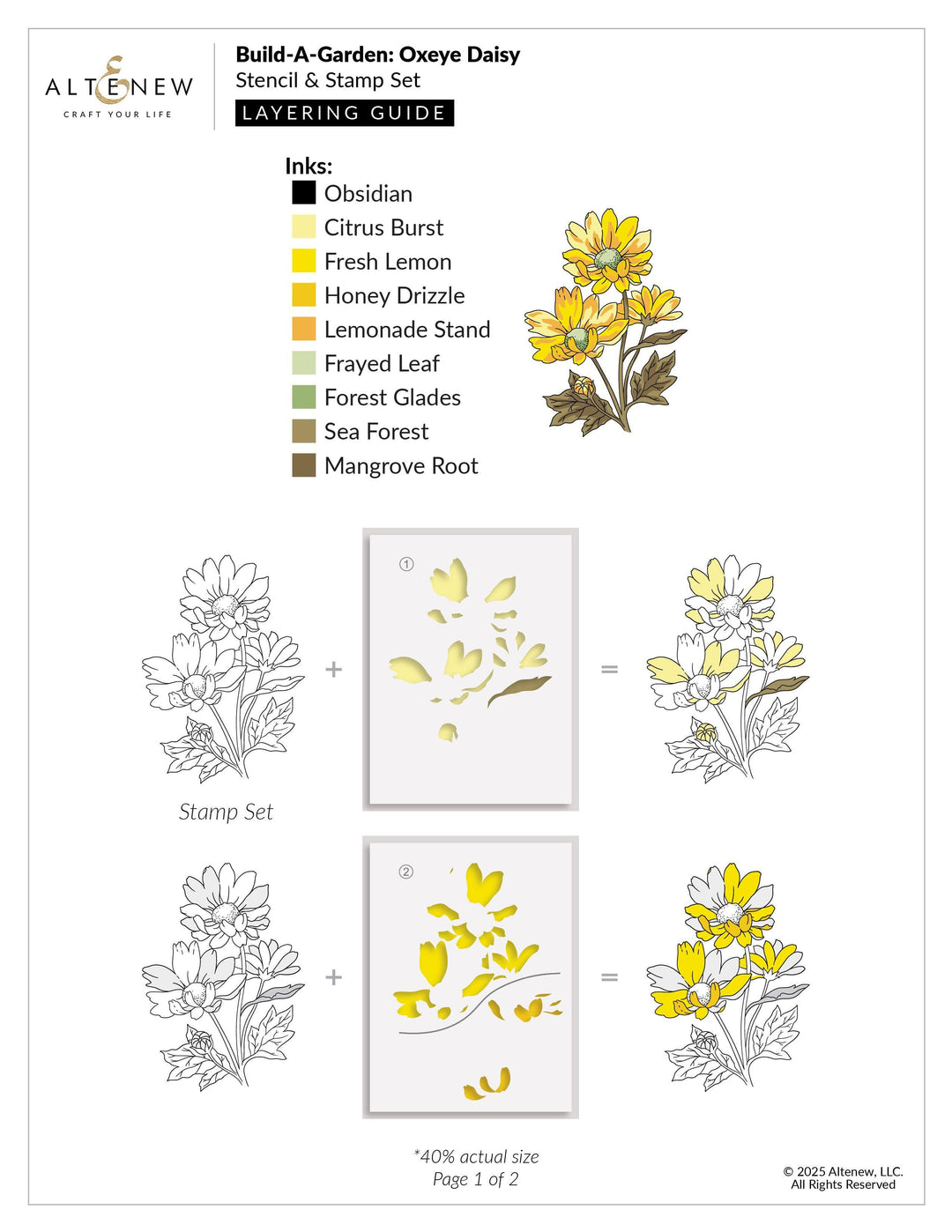Build-A-Garden: Oxeye Daisy