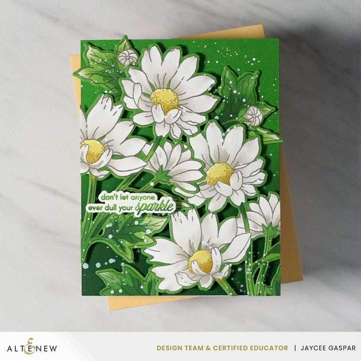 Build-A-Garden: Oxeye Daisy