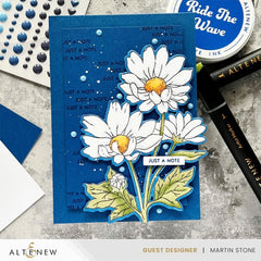 Build-A-Garden: Oxeye Daisy