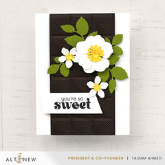 The Ultimate Cardstock Sampler Pack