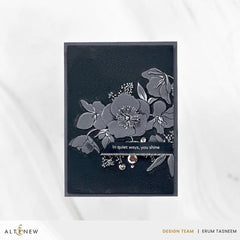 Crafty Necessities: Pure Graphite Cardstock (10 sheets/set)