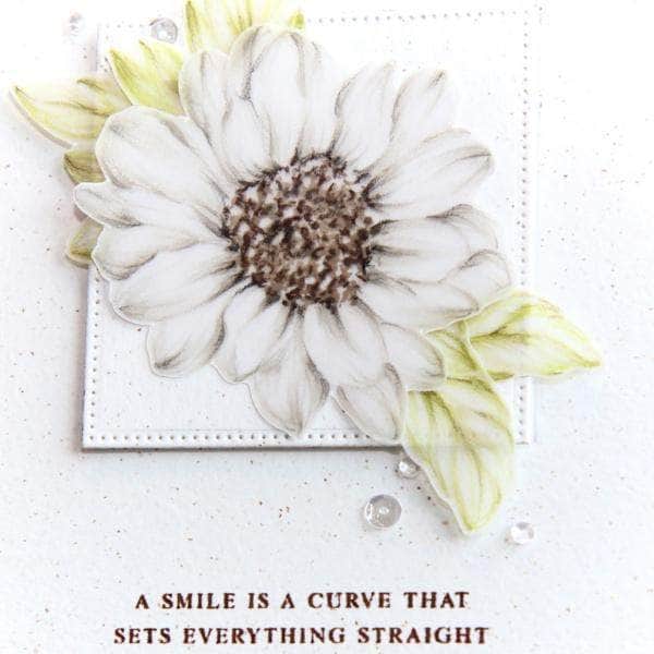 Altenew Class Beautiful Details Online Cardmaking Class