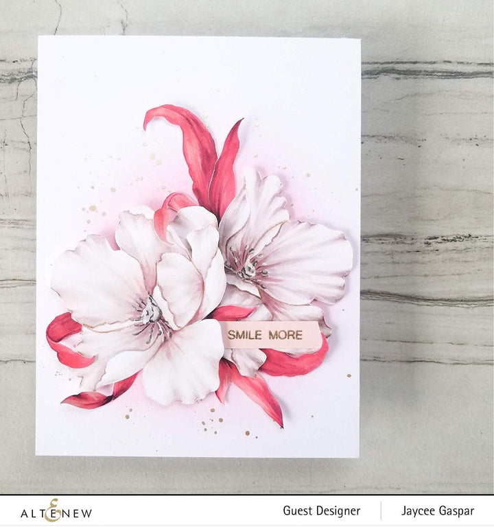 Altenew Creativity Kit Featurette Multi-Layered Frame Background Class