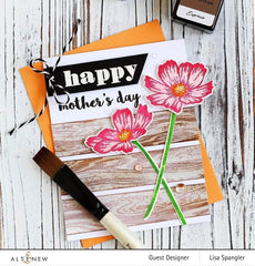 Photocentric Clear Stamps A Walk in the Woods Stamp Set