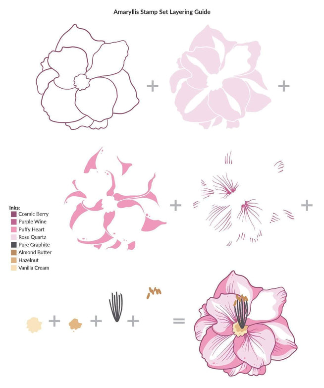 Photocentric Clear Stamps Amaryllis Stamp Set