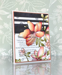 Photocentric Clear Stamps Beautiful Inside Stamp Set