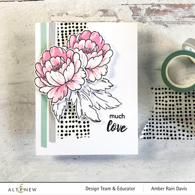 Photocentric Clear Stamps Book Engravings Stamp Set