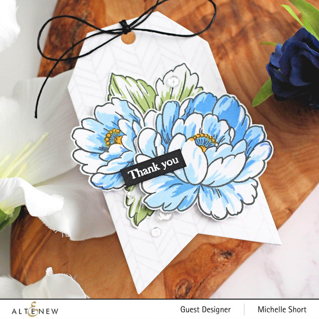 Photocentric Clear Stamps Book Engravings Stamp Set