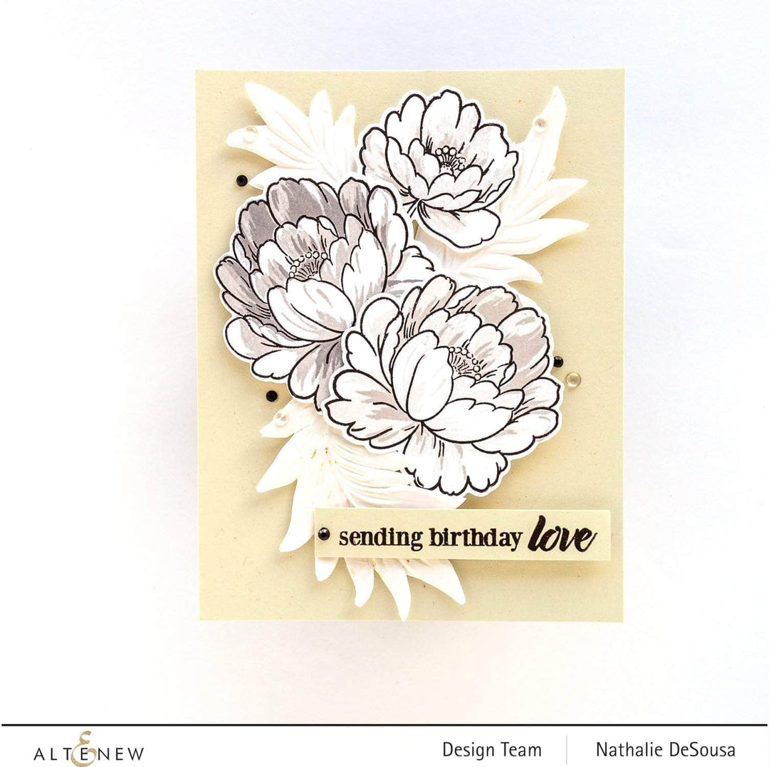 Photocentric Clear Stamps Book Engravings Stamp Set