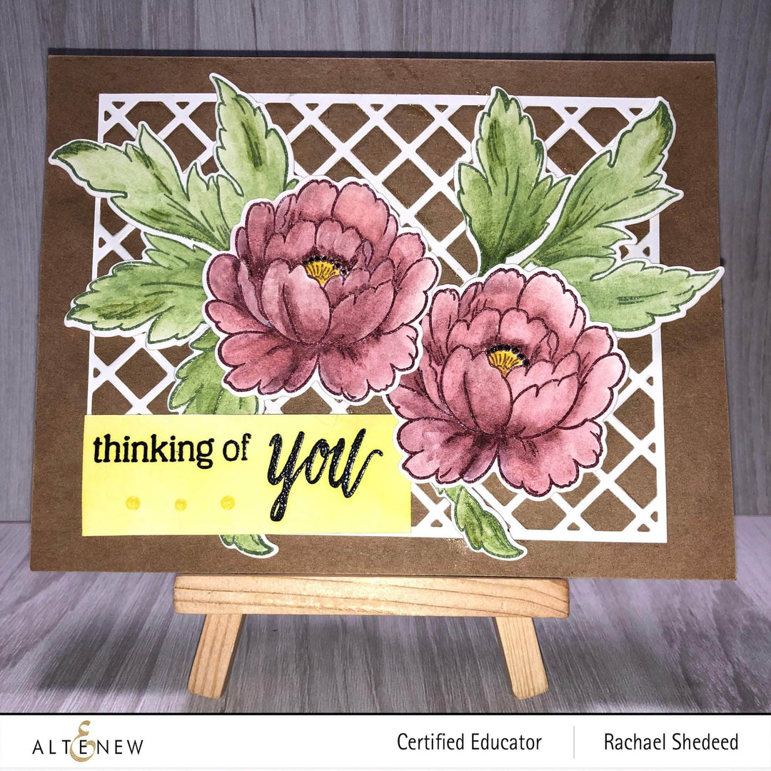 Photocentric Clear Stamps Book Engravings Stamp Set