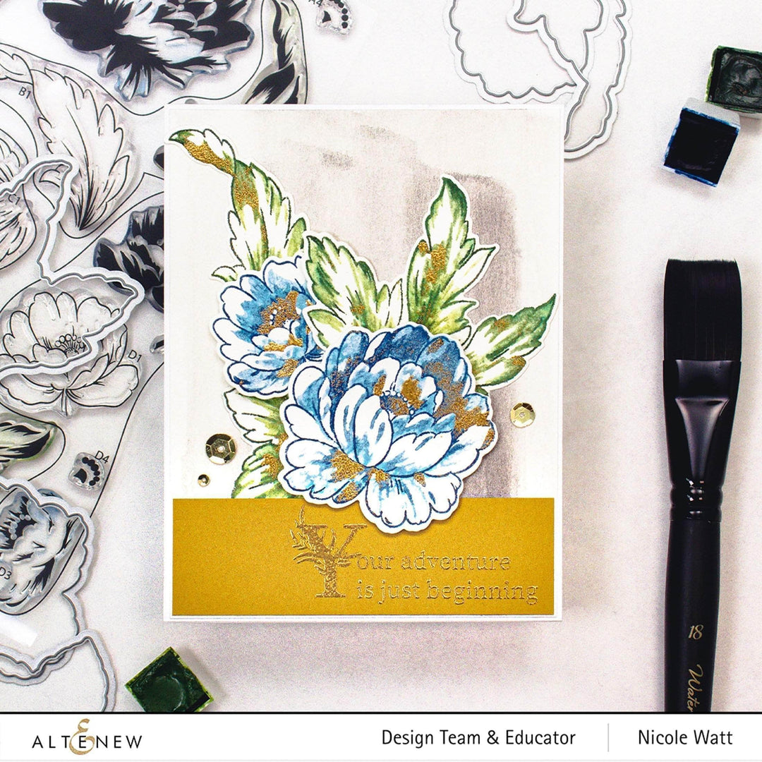 Photocentric Clear Stamps Book Engravings Stamp Set