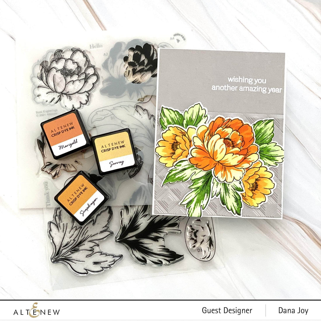 Photocentric Clear Stamps Book Engravings Stamp Set