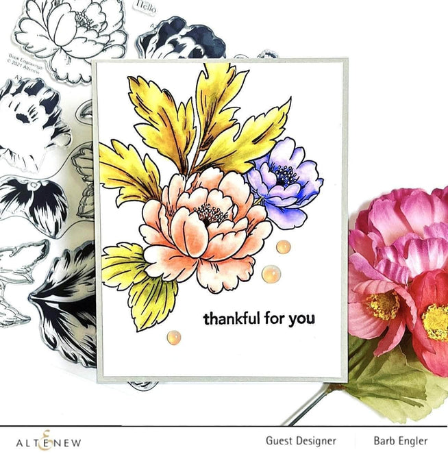 Photocentric Clear Stamps Book Engravings Stamp Set
