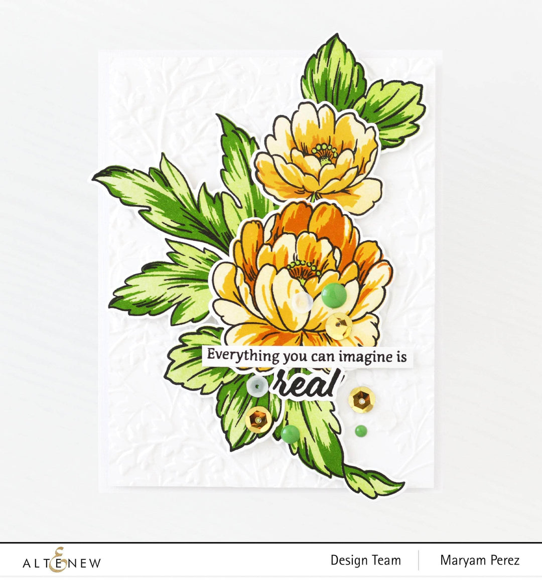 Photocentric Clear Stamps Books Are Magic Stamp Set