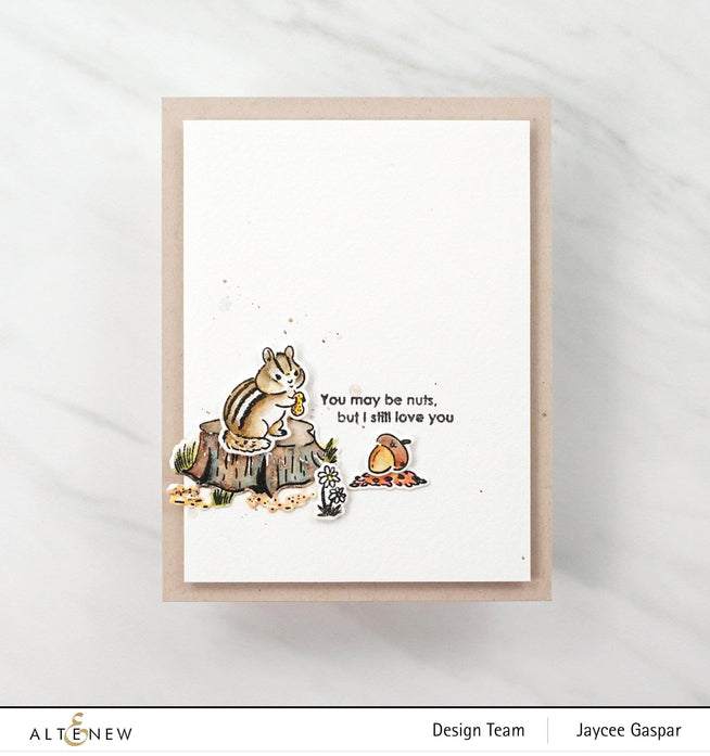 Photocentric Clear Stamps Chipmunk & Squirrel Stamp Set