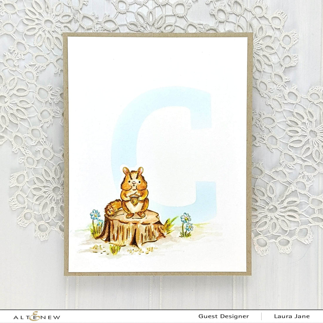 Photocentric Clear Stamps Chipmunk & Squirrel Stamp Set
