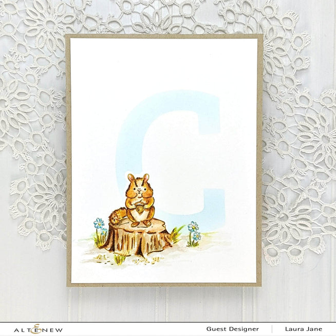 Photocentric Clear Stamps Chipmunk & Squirrel Stamp Set