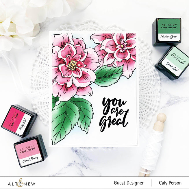 Photocentric Clear Stamps Courageous You Stamp Set